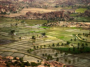 Farms as seen from Anjaneyadri Hill