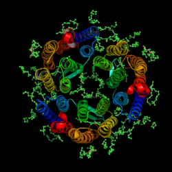 Bacteriorhodopsin