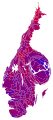 Cartogram of vote with each municipality rescaled in proportion to number of valid votes cast. Deeper blue represents a relative majority for the centre-right coalition, brighter red represents a relative majority for the left-wing coalition.