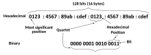 IPv6 address terminology-en.svg