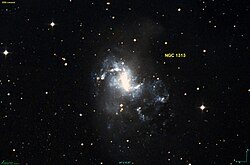 NGC 1313