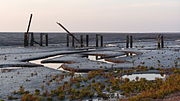 De pier yn it fûgelreservaat Snettisham