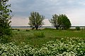 Typical landscape by Bodden