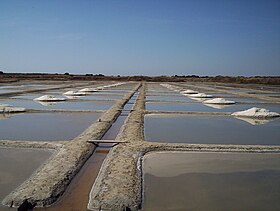 Oglennoù diaezhennañ e paludoù-holen Gwerrann.