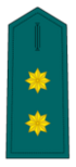 Divisa de teniente coronel