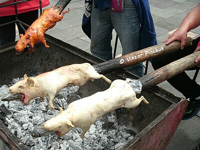 Морские свинки (Эквадор)