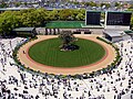 京都競馬場