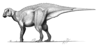 Representação artística do G. notabilis