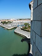 Une des gargouilles de la tour, côté port.