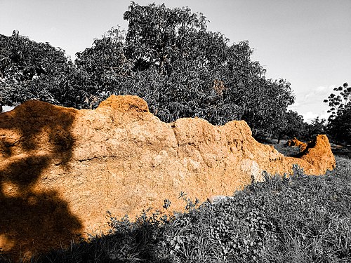 Defence wall built in ancient Nalerigu by Naa Jaringa, Ghana Photographer: Salifu Memunatu