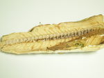 Sardinha de lata, corte longitudinal