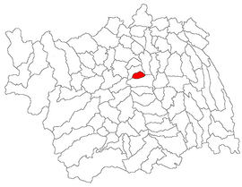 Location in Bacău County