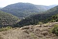 General view of region seen from Tur Shimon