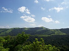 Kudremukh national park.jpg