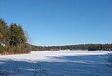 The pond in winter