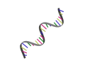 Struttura generica del RNA