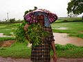 Native of Chhattisgarh Plains with Neem Branches and Leaves on Hareli Festival