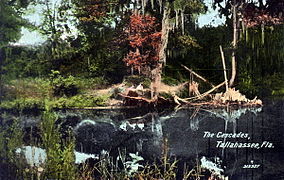 Postcard of Cascades Park (1912)