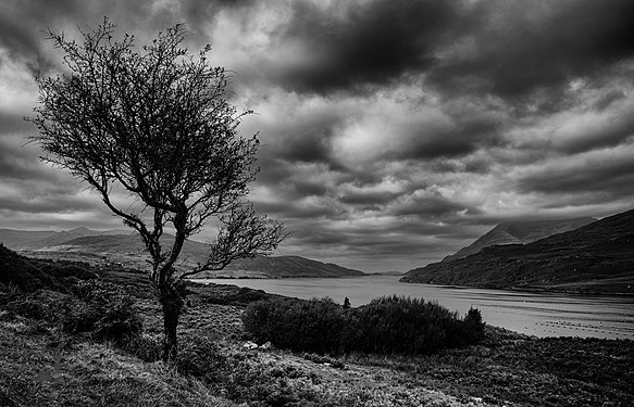 Connemara National Park in Octobe Photograph: Oliver Gargan