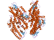 2e9x: The crystal structure of human GINS core complex