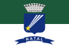 Flag of Natal (en)