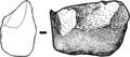 Galet aménagé du gisement de Dmanissi, de type Oldowayen (env. 1.8 Ma, Homo georgicus).