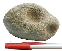 A cupstone with a pen to demonstrate a size reference