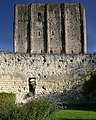 Donjon de Loches