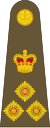 Brigadier