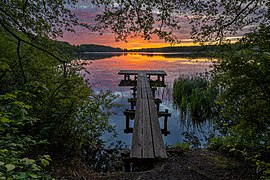 Lever de Soleil à Bossee, une réserve du réseau Natura 2000 dans le Schleswig-Holstein. Mai 2020.