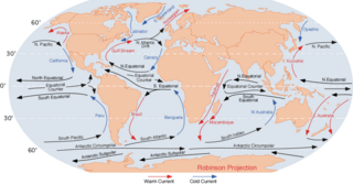 Major oceanic gyres