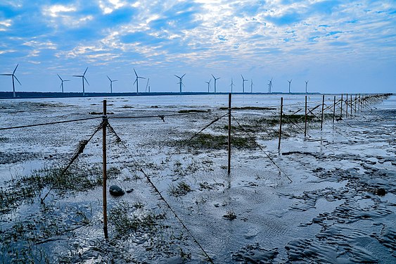 The view of Gaomei Wetlands, Photograph: User:Ateiooo