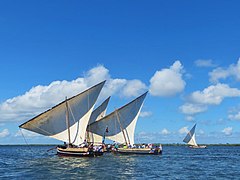 Course de boutres traditionnels devant Lamu.