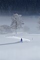 52 Cross country skier in Tirol landscape