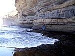 Rock strata at Depot Beach, New South Wales