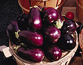 Purple eggplants showing typical aubergine color