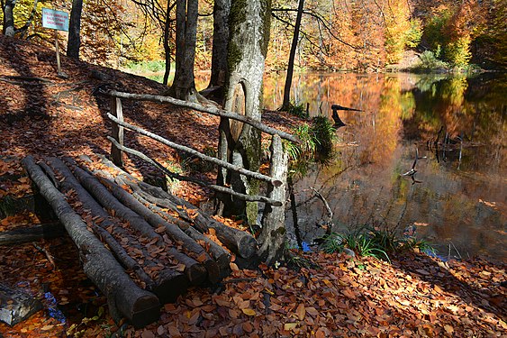 Garanokhur lake. Ismailli State Reserve. Photograph: Tumanskaya Sabina