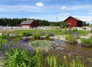 Stallet och magasinet