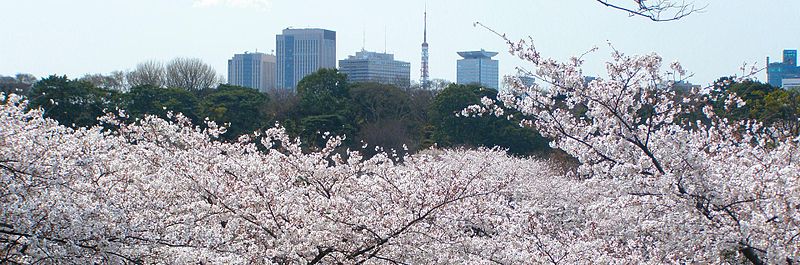 Panorama sur Tokyo