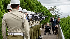 Three-volley salute