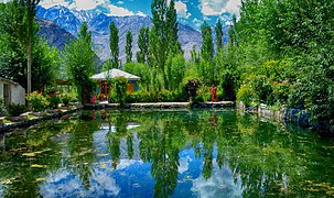 Fish farming traditionally takes place in purpose-built tanks in the Skardu region in northern Pakistan.