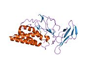 1z92: structure of interleukin-2 with its alpha receptor