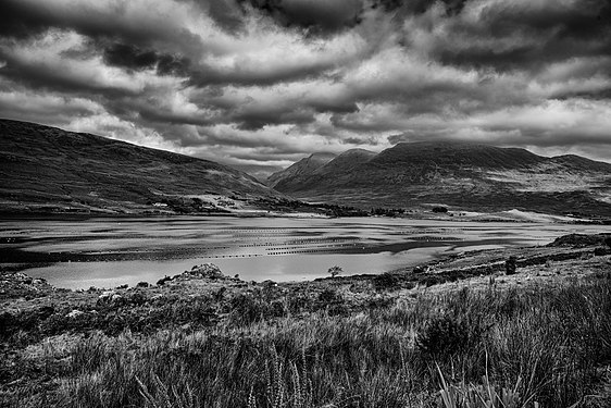 Connemara National Park in October Photograph: Oliver Gargan