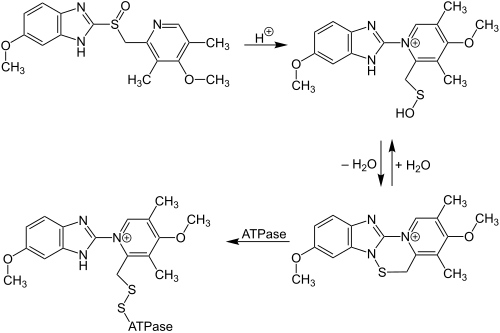 Omeprazol rearrangement in the body