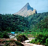 Pico da Neblina, Amazonas, the highest mountain in Brazil.