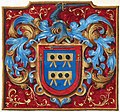 11 Grant of arms2