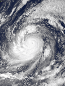 Satellite image of a large tropical cyclone with a well-defined appearance