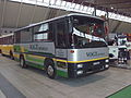 Midibus IVECO R.81