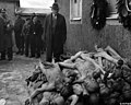 53 Buchenwald-bei-Weimar-am-24-April-1945