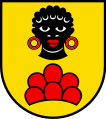 Möriken-Wildegg, Kanton Aargau